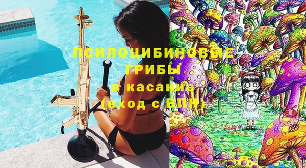 прущие грибы Балахна